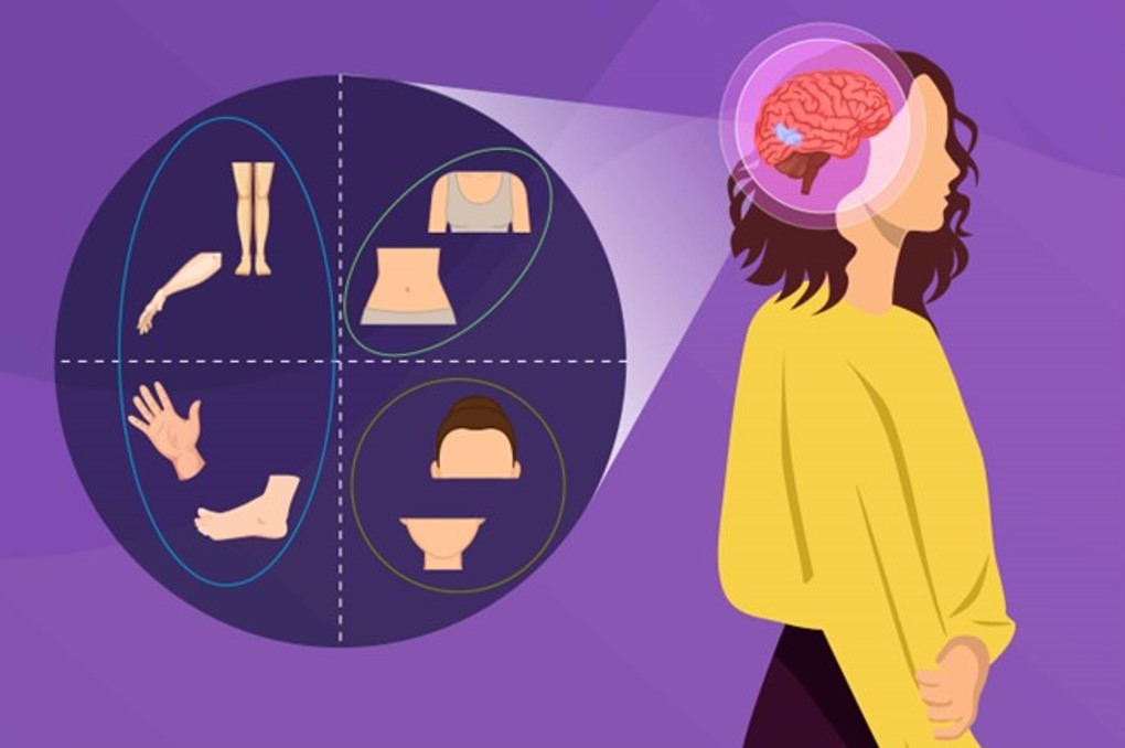 Adults with Autism Show Similar Brain Mapping of Body Parts as Typically Developing Adults