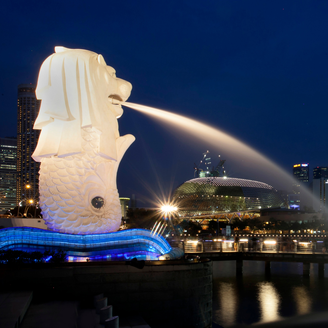 Introducing Our International Alumni Network: The Singapore Tomonkai