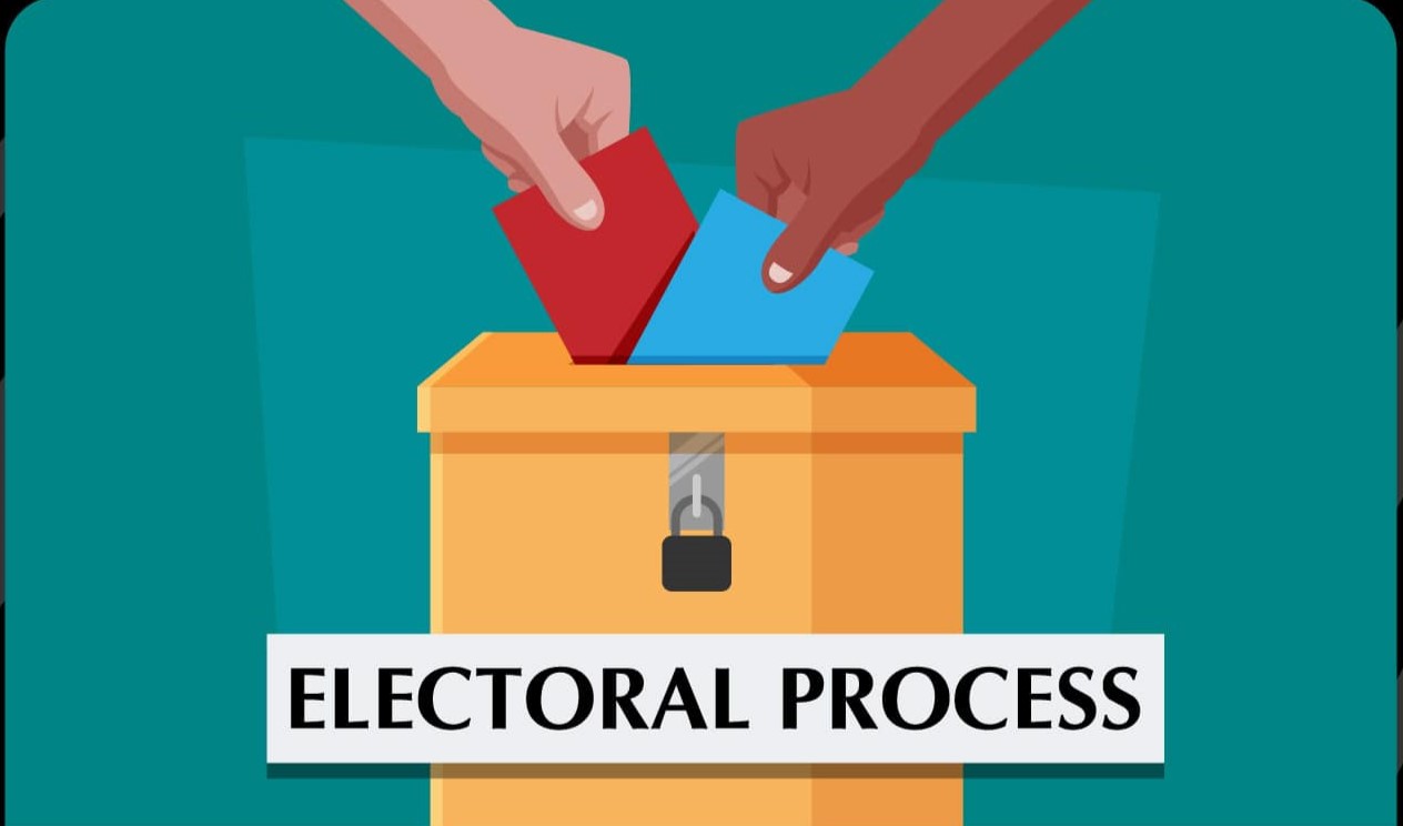 Transnational Electoral Participation of Undocumented Mexican Immigrants in the US