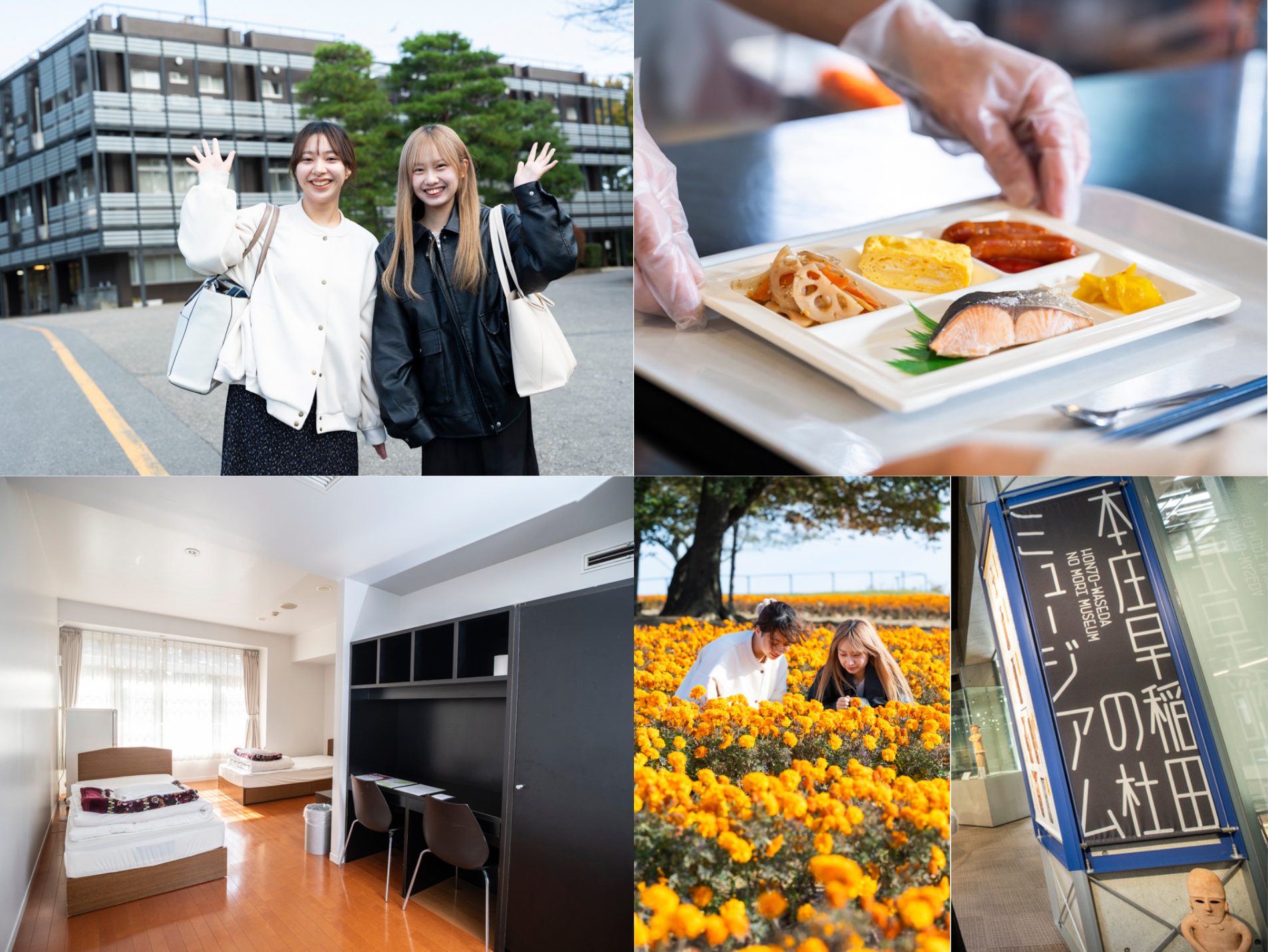 A Comprehensive Guide to Honjo Seminar House: Sports, Music, BBQ and More