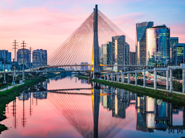 Introducing our International Alumni Network: The Brazil Tomonkai