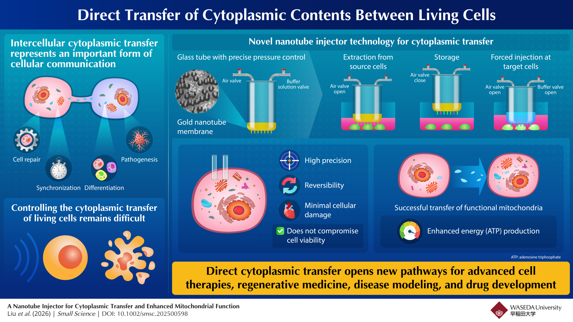 Transferring Cytoplasmic Contents and Organelles Between Living Cells ...
