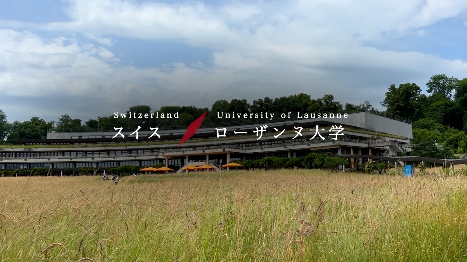 Student Study Abroad Report –University of Lausanne, Switzerland