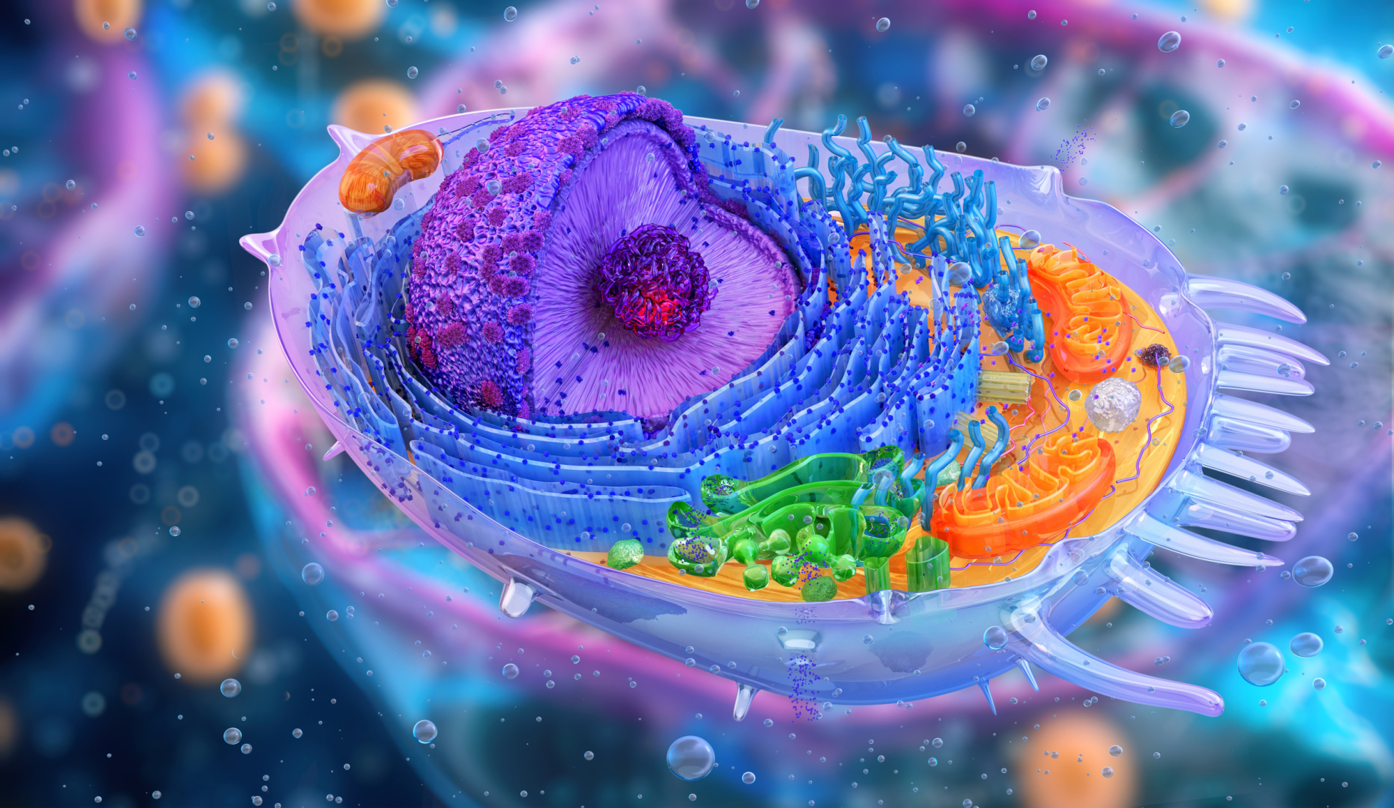 Transferring Cytoplasmic Contents and Organelles Between Living Cells