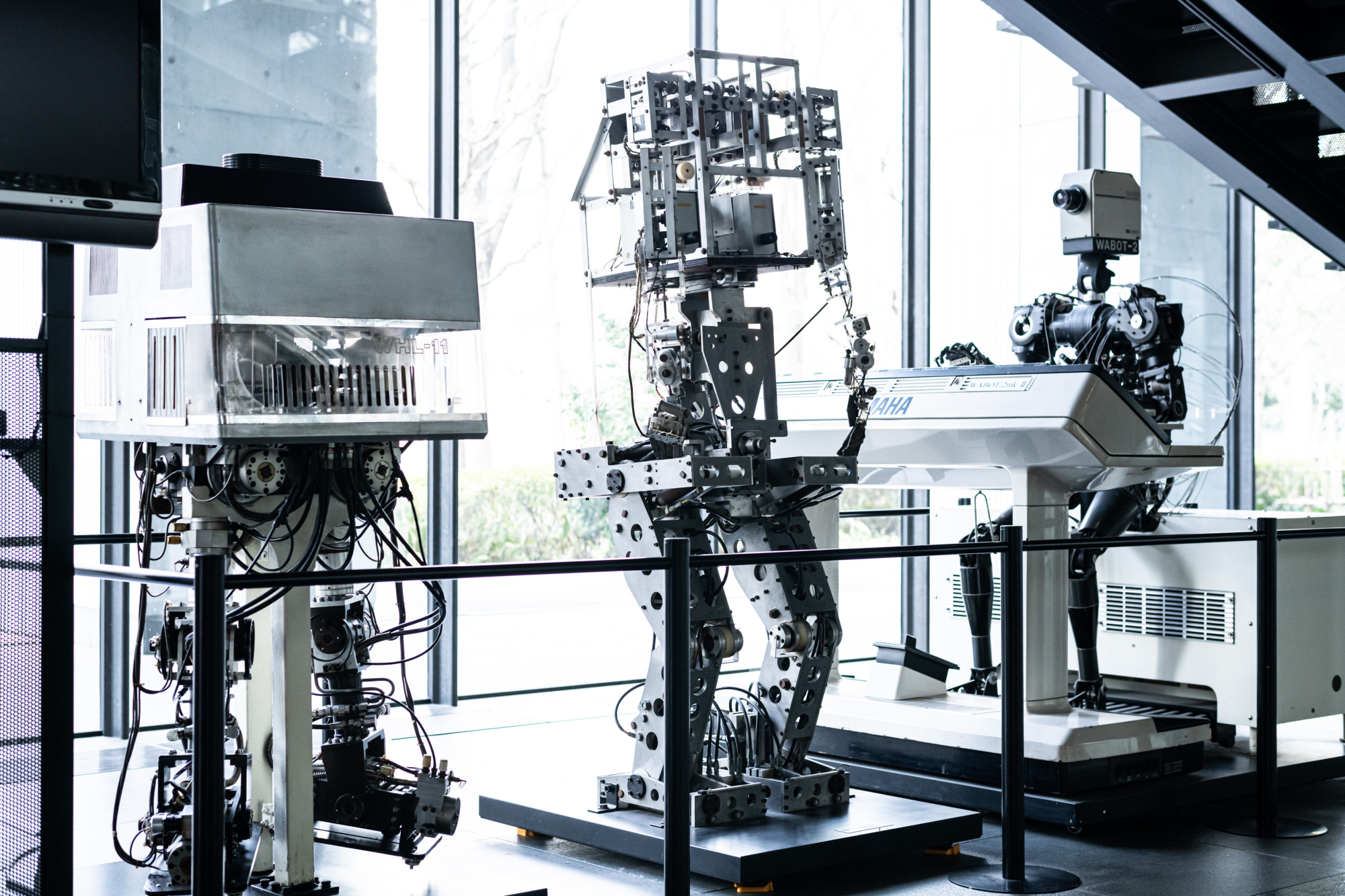 The Robots of Waseda: A 50-Year Journey in Humanoid Innovation 