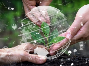 Research Institute for Environmental Economics and Management　Interdisciplinary Empirical Research on Economy, Technology, and Society under Planetary Constraints WIAS RIEEM Seminar