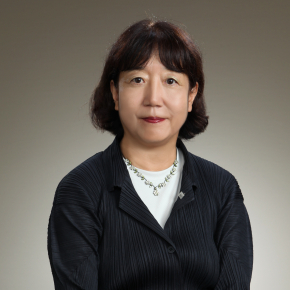 Vice President for Cultural Affairs<br />
Professor, Faculty of Letters, Arts and Sciences