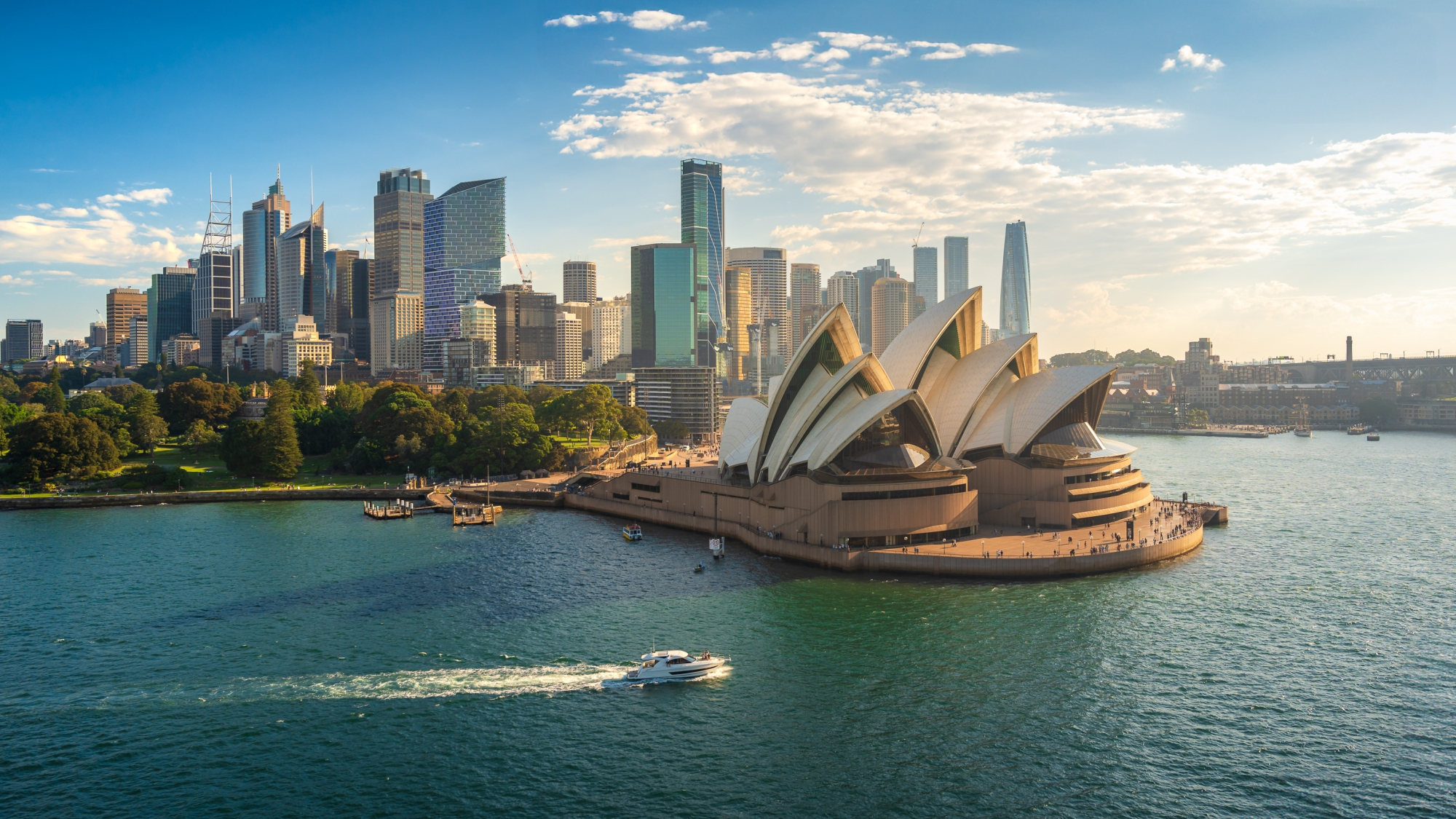 Introducing Our International Alumni Network: The Sydney Tomonkai