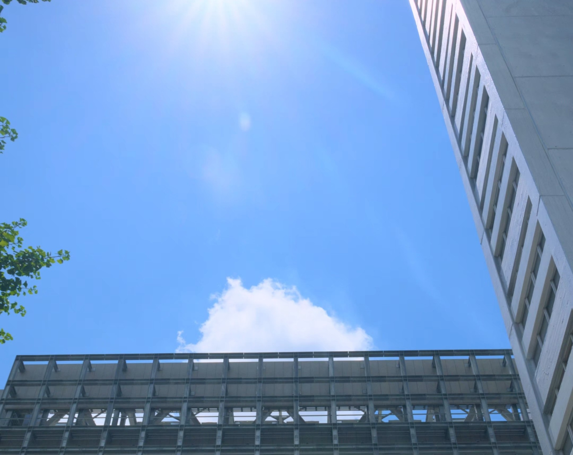 First in Japan: Waseda University and TEPCO HD Conduct Peak Electricity Demand Reduction Experiment Through Examination Rescheduling
